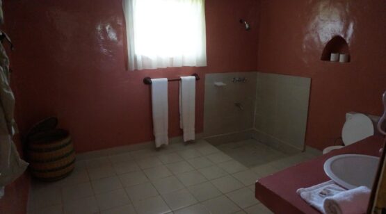 Mountain Gorilla View Lodge 6