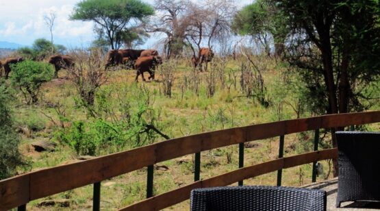 Tarangire Sopa Lodge 7 (Medium)