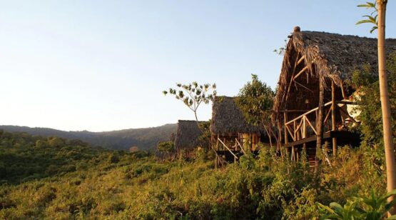 crater forest camp 1