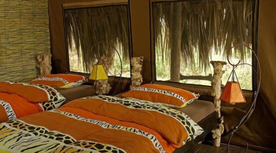 crater forest camp 3