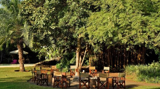 moivaro coffee 5