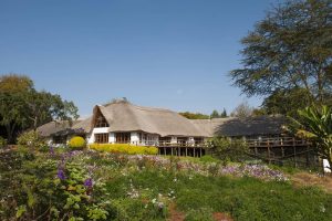 ngorongoro farm house 1