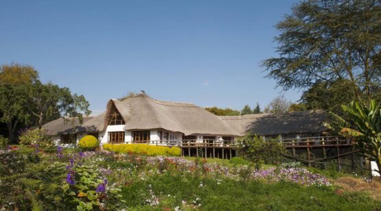 12 Days Tanzania Wildlife Up-Close and Culture