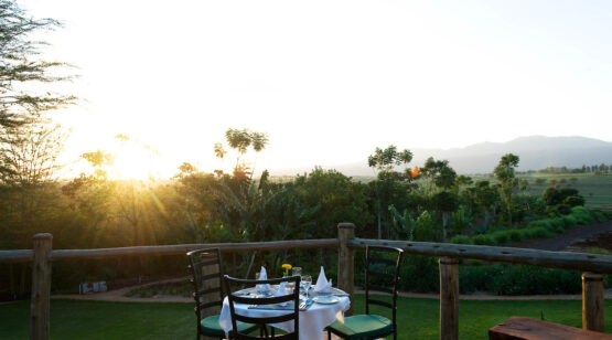 12 Days Tanzania Wildlife Up-Close and Culture