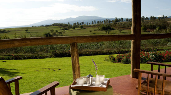 12 Days Tanzania Wildlife Up-Close and Culture
