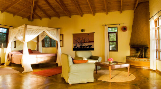 12 Days Tanzania Wildlife Up-Close and Culture