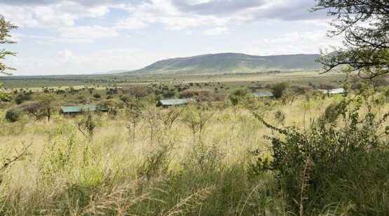 nyikani-banagi-hill-camp-bushveld-6