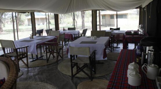 Osero Serengeti Tented Camp, wildlife safari, wildlife experience, Tanzania wildlife safari, Tanzania Cultural Experience, Tanzanian Wildlife Safari, Wildlife & Cultural Safari