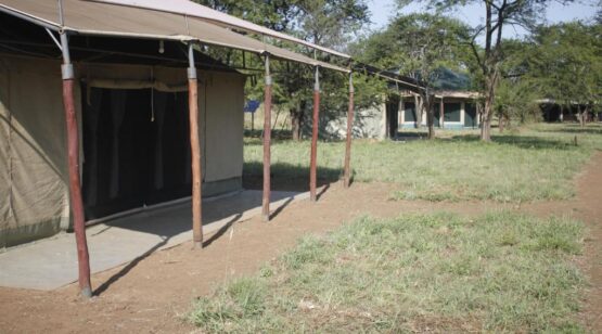 Osero Serengeti 4