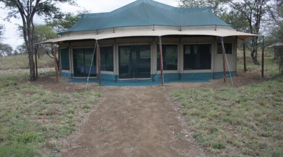 Osero Serengeti Tented Camp, Wildlife safari, wildlife experience, Tanzania Wildlife Safari, Tanzania Cultural Experience, Tanzanian Wildlife Safari, Wildlife & Cultural Safari