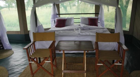 Osero Serengeti Tented Camp, wildlife safari, Tanzania wildlife safari, Tanzania Cultural Experience, Wildlife & Cultural Safari