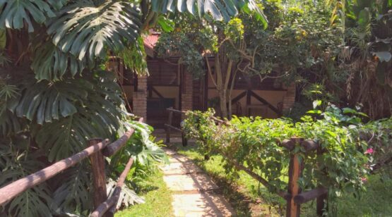 Outpost Lodge, wildlife experience, Tanzanian Wildlife Safari, Cultural Safari