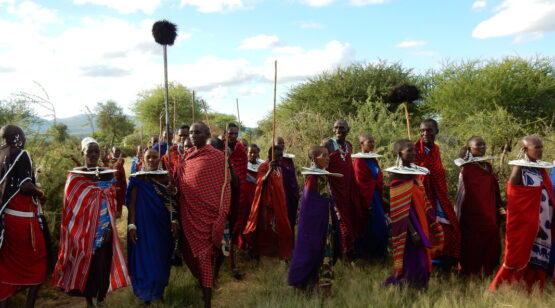 Maasai Eco Boma, Wildlife Safari, Tanzania Wildlife Safari, Tanzania Cultural Experience, Tanzanian Wildlife Safari, Wildlife & Cultural Safari