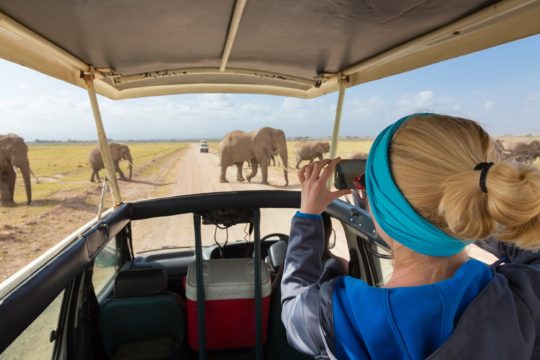 Woman,On,African,Wildlife,Safari,,Amboseli,National,Park,,Kenya.,Lady