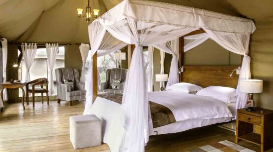 Matawi Serengeti Camp 1
