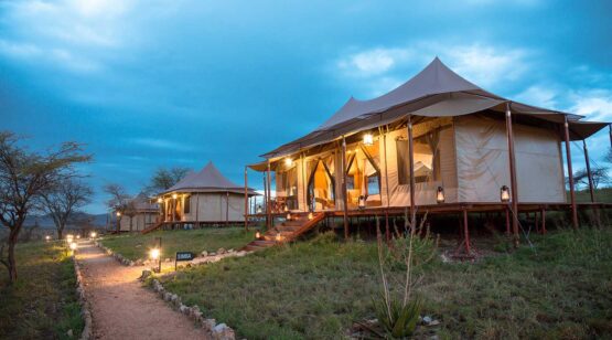 Matawi Serengeti Camp 2