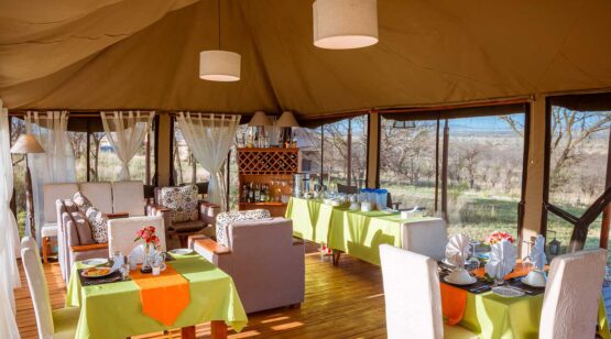 Matawi Serengeti Camp 3