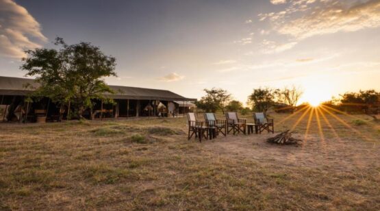 Nyumbu Luxury Collection Ndutu Camp 1