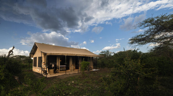 Nyumbu Luxury Collection Ndutu Camp 4