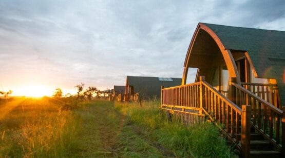 Serenget Ark Safari Lodge 1