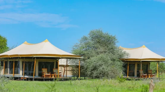 Seronera-IntimateICS-Family-Tent-1