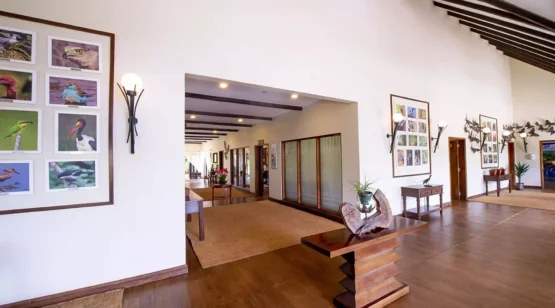 The Retreat at Ngorongoro 2