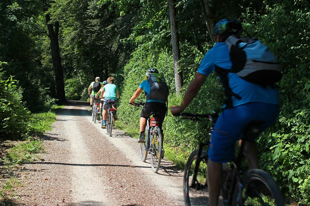 cycling-2 cycling-2