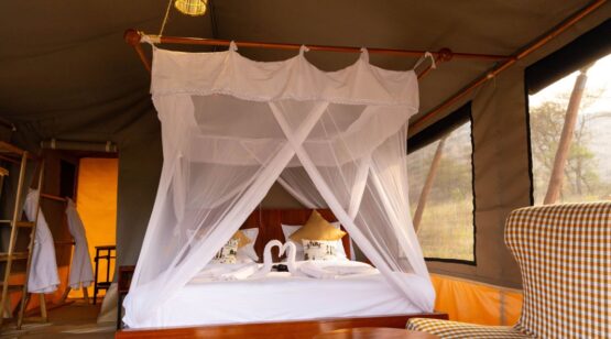 golden safari camps 4 (Medium)