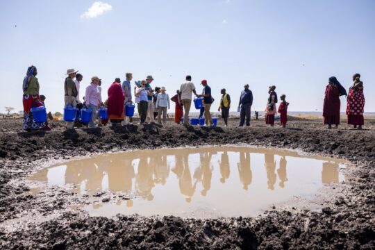 Water Filter (Medium)