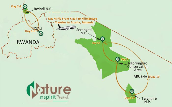 10 Days Tanzania Wildlife & Uganda Gorilla Trek Safari Via Rwanda