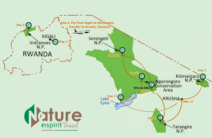 12 Days Tanzania and Rwanda Gorillas Trekking, Kilimanjaro, and Wildlife Adventure