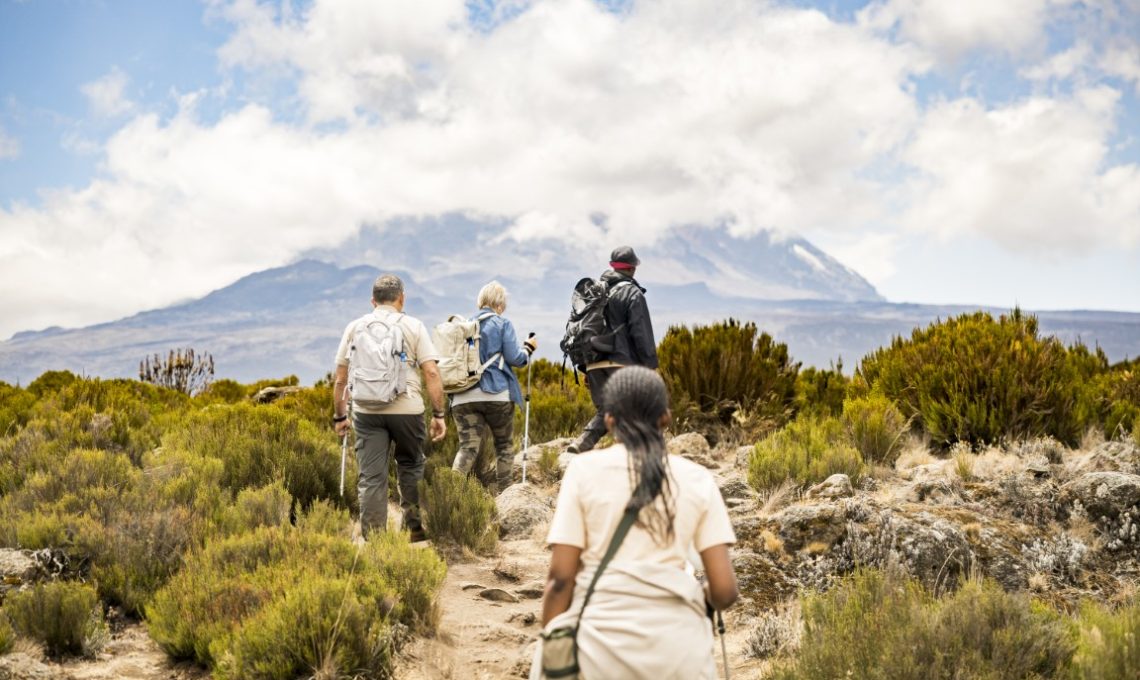 Day 2_ Mount Kilimanjaro Day Hike (Medium)