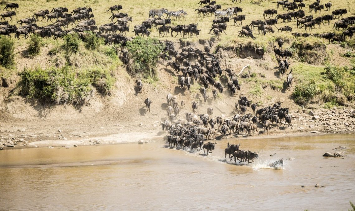 Day 3_ Following the Great Migration – Full Day (Medium)