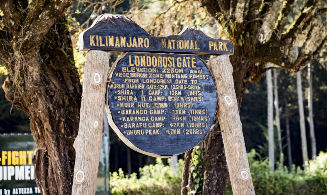 Day 5_ Mount Kilimanjaro Day Hike (Medium)