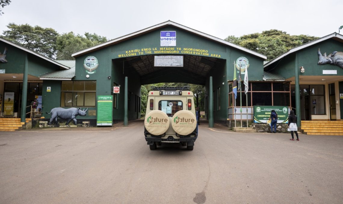 Day 5_ Ngorongoro Crater tour (Medium)