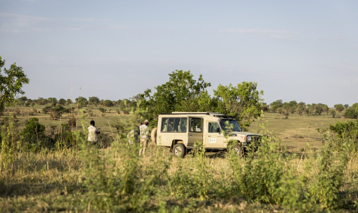 Day 6_ Full day Serengeti National Park (Medium)