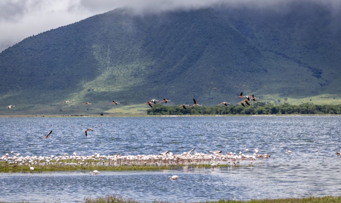 Day 7_ Ngorongoro Crater (Medium)