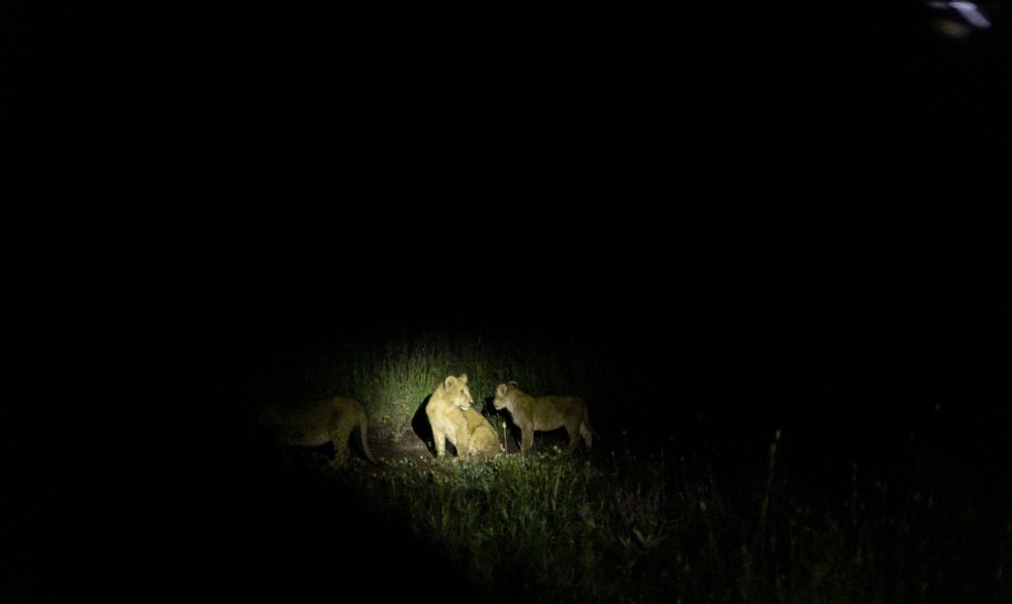 Day 8_ Drive to Tarangire National Park (Medium)