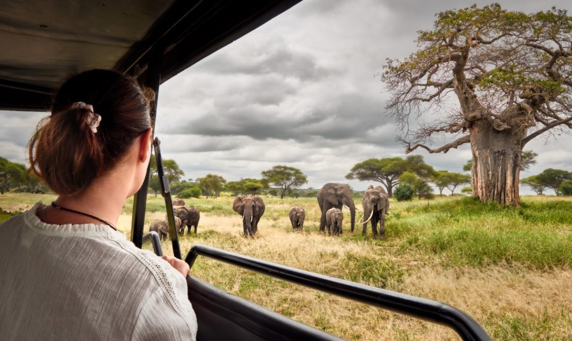 Woman,Tourist,On,Safari,In,Africa,,Traveling,By,Car,With