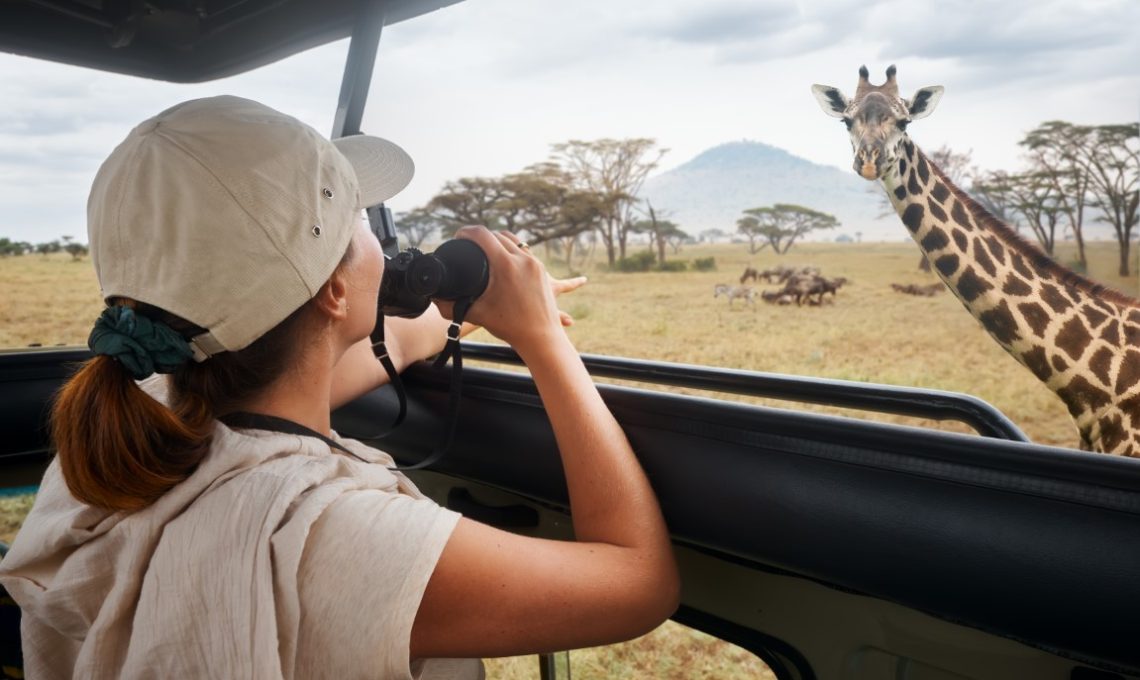 Woman,Tourist,On,Safari,In,Africa,,Traveling,By,Car,With