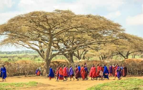 Serengeti Wildlife & Culture