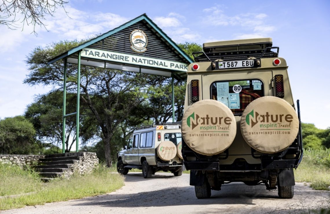 Tarangire Day 5 (Medium)