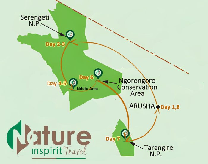 The Great Migration of Serengeti calving _ Southern Serengeti