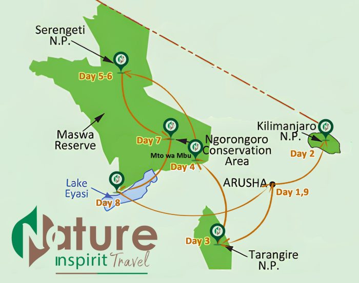 The Great Migration of Serengeti – Mara River Crossing Experience