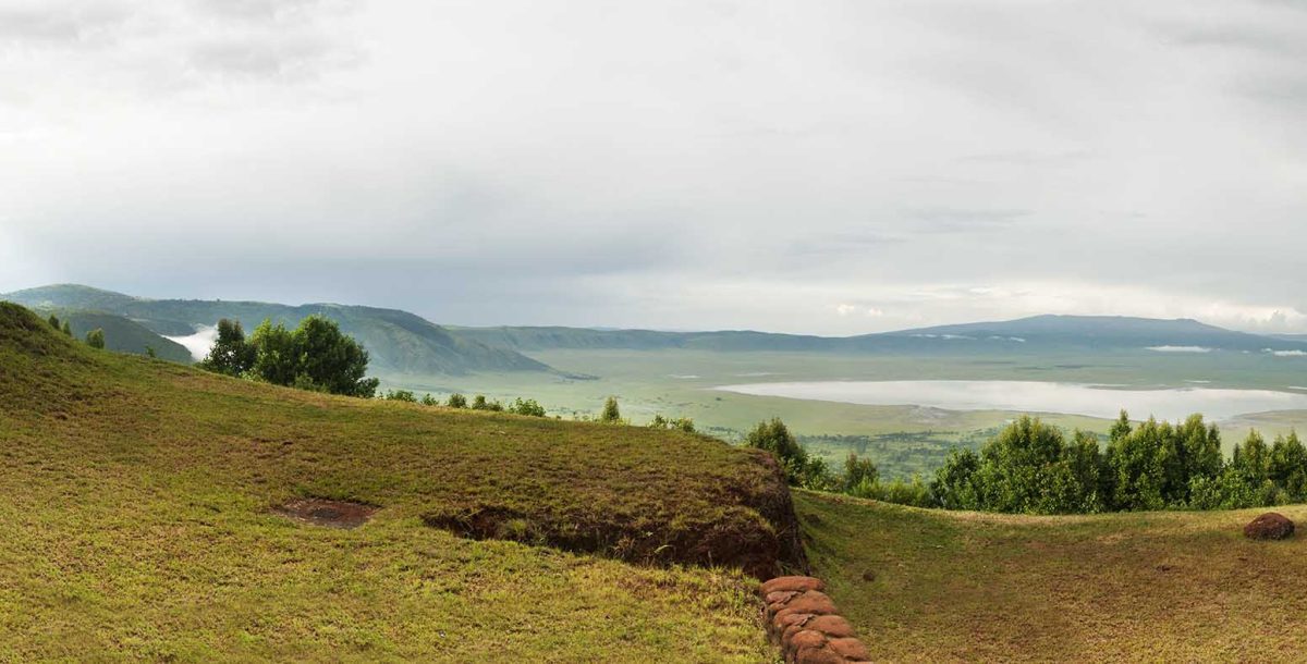 7808523 - panorama of ngorongoro crater as seen from the rim