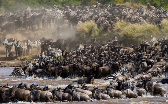 great migration 1