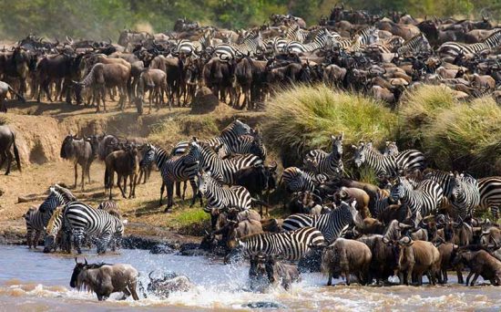 great migration 5 (2)