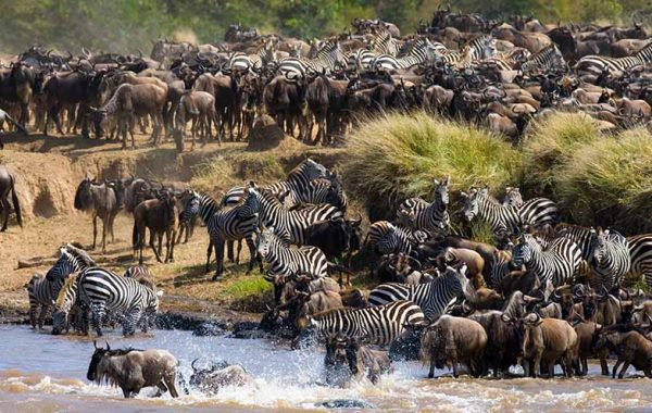 great migration 5 (2)