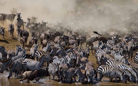 great migration 5