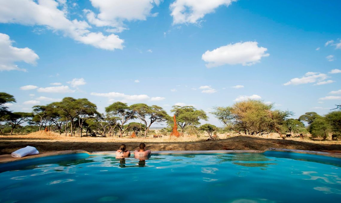 honeymoon safari